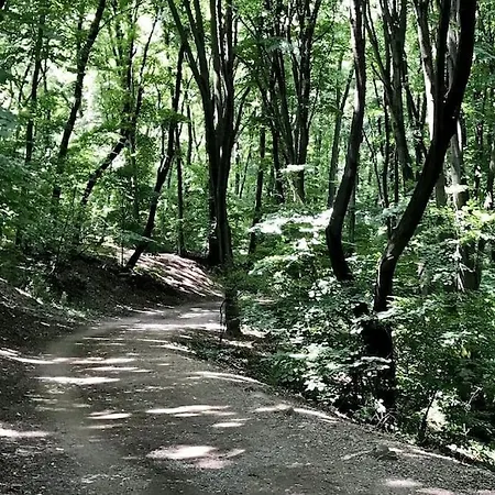 Cozy House Apartment Belgrad