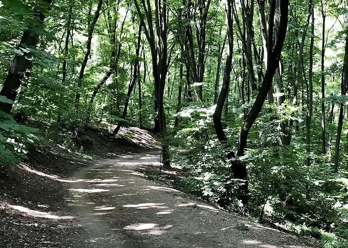 Cozy House Apartman Belgrád